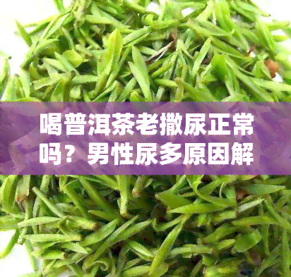 喝普洱茶老撒尿正常吗？男性尿多原因解析