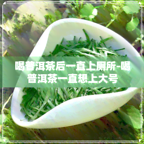 喝普洱茶后一直上厕所-喝普洱茶一直想上大号