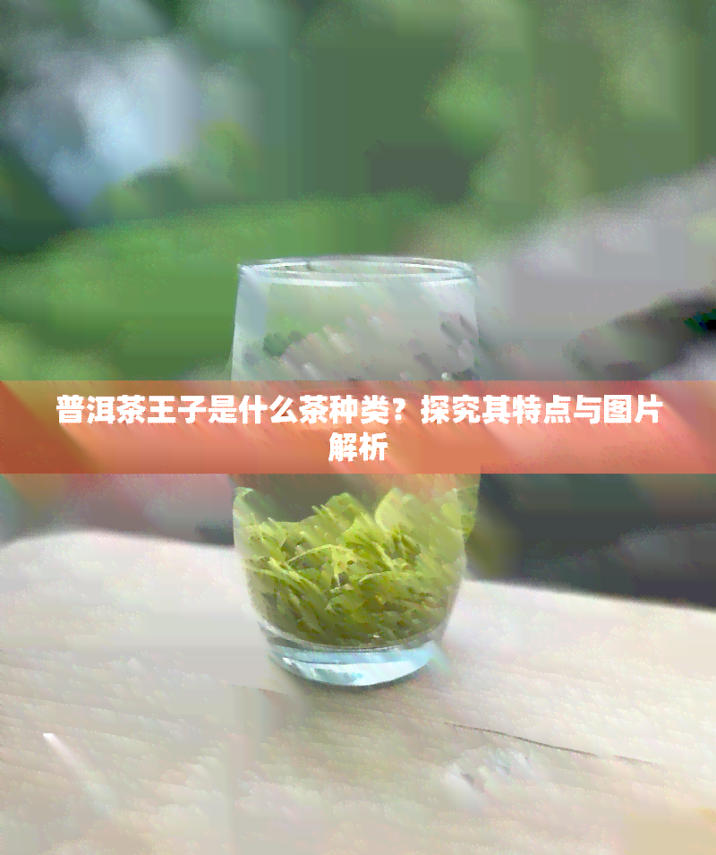 普洱茶王子是什么茶种类？探究其特点与图片解析