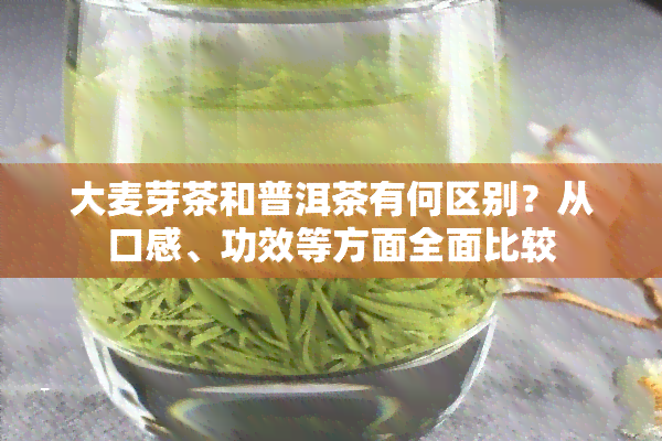 大麦芽茶和普洱茶有何区别？从口感、功效等方面全面比较