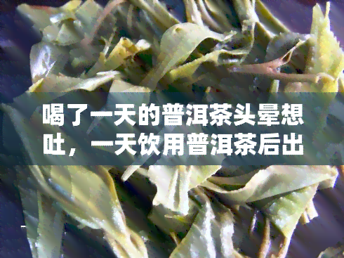 喝了一天的普洱茶头晕想吐，一天饮用普洱茶后出现头晕、恶心症状，该怎么办？