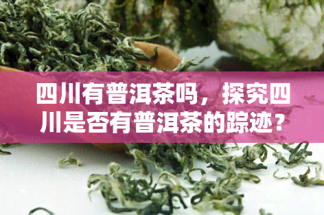 四川有普洱茶吗，探究四川是否有普洱茶的踪迹？