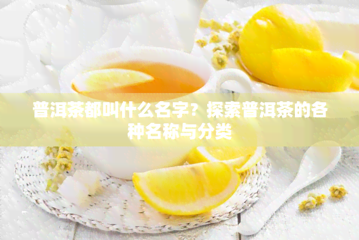 普洱茶都叫什么名字？探索普洱茶的各种名称与分类