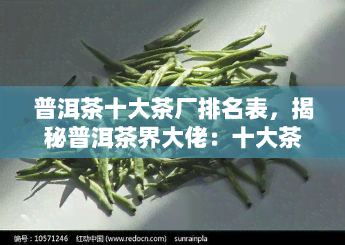 普洱茶十大茶厂排名表，揭秘普洱茶界大佬：十大茶厂排名一览表