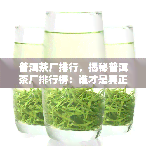 普洱茶厂排行，揭秘普洱茶厂排行榜：谁才是真正的茶叶之王？