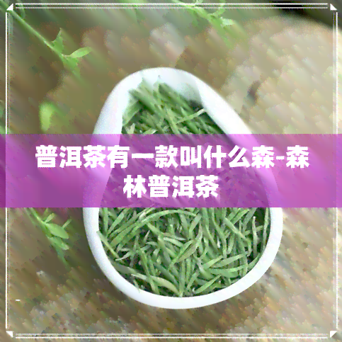 普洱茶有一款叫什么森-森林普洱茶