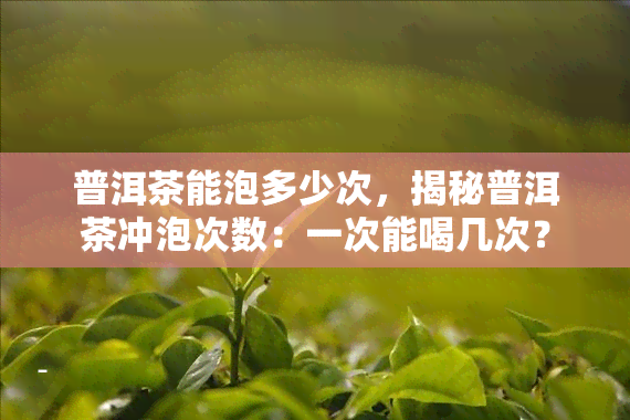 普洱茶能泡多少次，揭秘普洱茶冲泡次数：一次能喝几次？