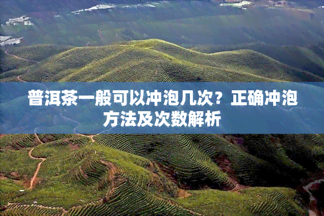 普洱茶一般可以冲泡几次？正确冲泡方法及次数解析