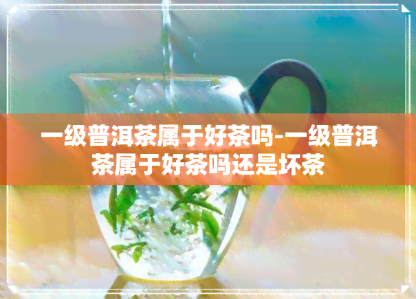 一级普洱茶属于好茶吗-一级普洱茶属于好茶吗还是坏茶