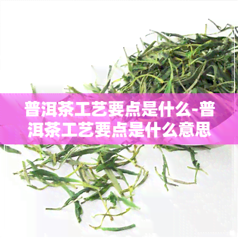 普洱茶工艺要点是什么-普洱茶工艺要点是什么意思