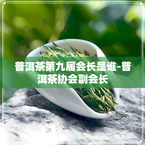 普洱茶第九届会长是谁-普洱茶协会副会长