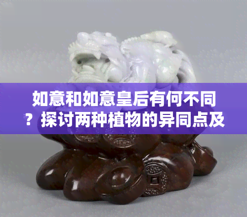 如意和如意皇后有何不同？探讨两种植物的异同点及优缺点，附图解析。