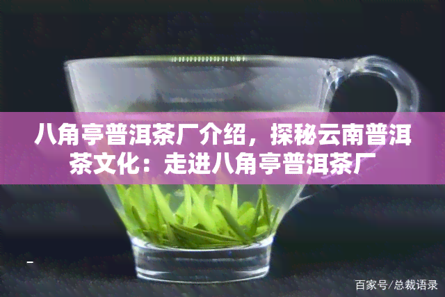 八角亭普洱茶厂介绍，探秘云南普洱茶文化：走进八角亭普洱茶厂