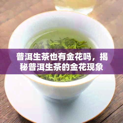 普洱生茶也有金花吗，揭秘普洱生茶的金花现象