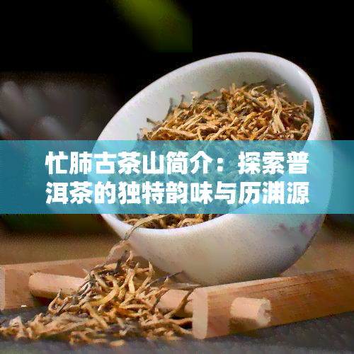 忙肺古茶山简介：探索普洱茶的独特韵味与历渊源