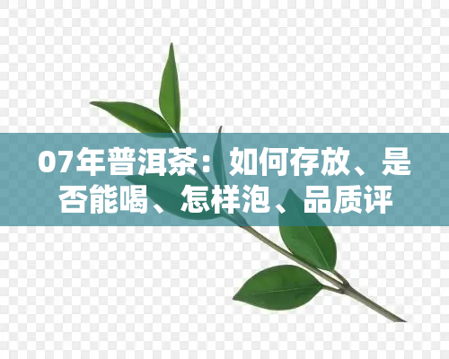 07年普洱茶：如何存放、是否能喝、怎样泡、品质评价、价值几何？从百万人大败局看其疯狂程度