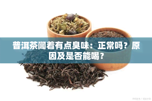 普洱茶闻着有点臭味：正常吗？原因及是否能喝？