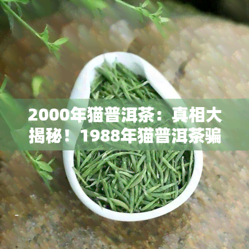 2000年猫普洱茶：真相大揭秘！1988年猫普洱茶骗局、铁盒真假辨析及生态饼茶全解析