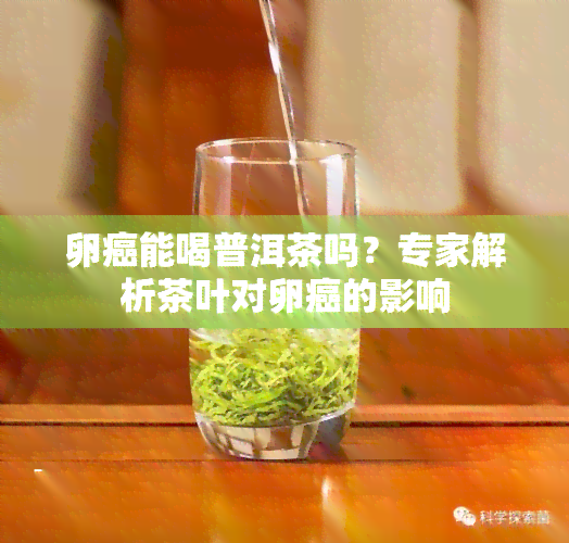 卵癌能喝普洱茶吗？专家解析茶叶对卵癌的影响