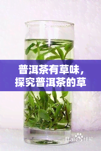 普洱茶有草味，探究普洱茶的草香味：一种独特的口感体验