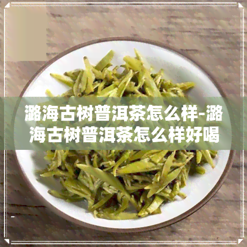 潞海古树普洱茶怎么样-潞海古树普洱茶怎么样好喝吗