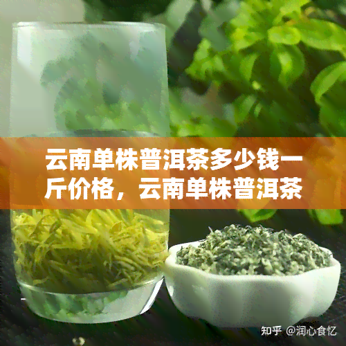 云南单株普洱茶多少钱一斤价格，云南单株普洱茶的价格解析：一斤要多少钱？