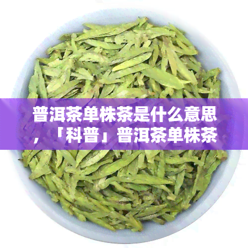 普洱茶单株茶是什么意思，「科普」普洱茶单株茶是什么意思？理解茶叶