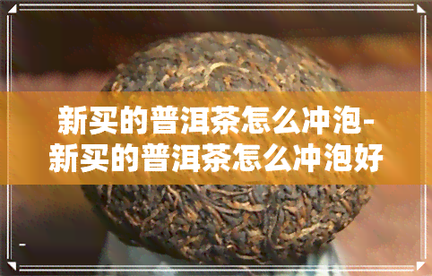 新买的普洱茶怎么冲泡-新买的普洱茶怎么冲泡好喝