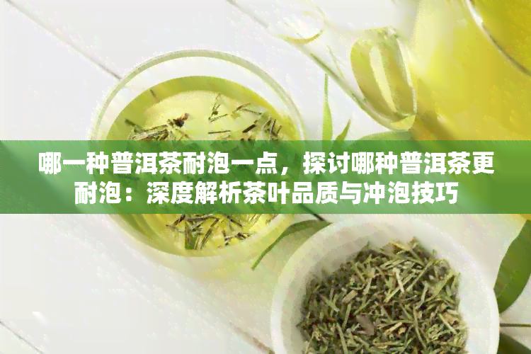 哪一种普洱茶耐泡一点，探讨哪种普洱茶更耐泡：深度解析茶叶品质与冲泡技巧