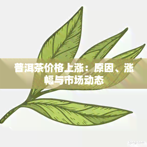 普洱茶价格上涨：原因、涨幅与市场动态