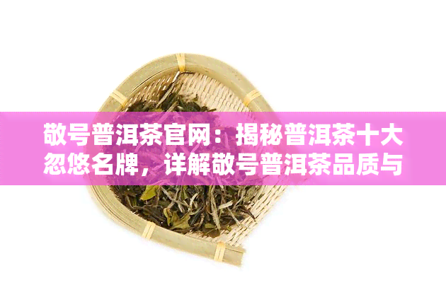 敬号普洱茶官网：揭秘普洱茶十大忽悠名牌，详解敬号普洱茶品质与口碑