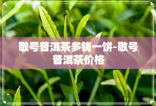 敬号普洱茶多钱一饼-敬号普洱茶价格