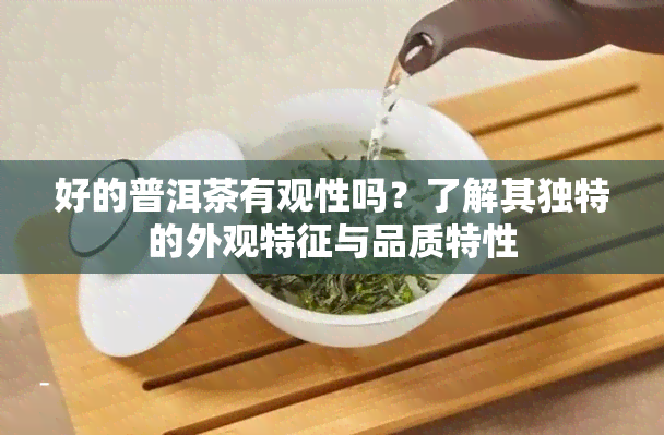 好的普洱茶有观性吗？了解其独特的外观特征与品质特性