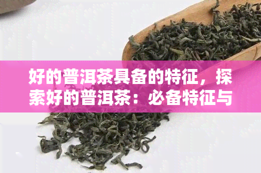 好的普洱茶具备的特征，探索好的普洱茶：必备特征与品鉴技巧