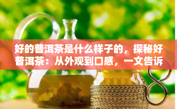 好的普洱茶是什么样子的，探秘好普洱茶：从外观到口感，一文告诉你什么样的普洱茶值得品鉴