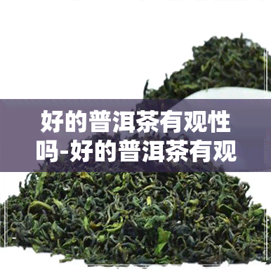 好的普洱茶有观性吗-好的普洱茶有观性吗知乎