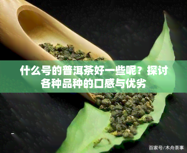 什么号的普洱茶好一些呢？探讨各种品种的口感与优劣