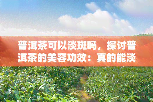 普洱茶可以淡斑吗，探讨普洱茶的美容功效：真的能淡斑吗？