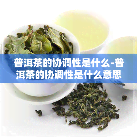 普洱茶的协调性是什么-普洱茶的协调性是什么意思