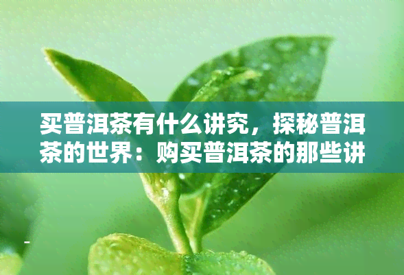 买普洱茶有什么讲究，探秘普洱茶的世界：购买普洱茶的那些讲究