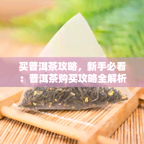 买普洱茶攻略，新手必看：普洱茶购买攻略全解析