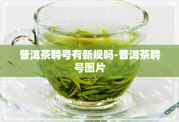 普洱茶聘号有新规吗-普洱茶聘号图片