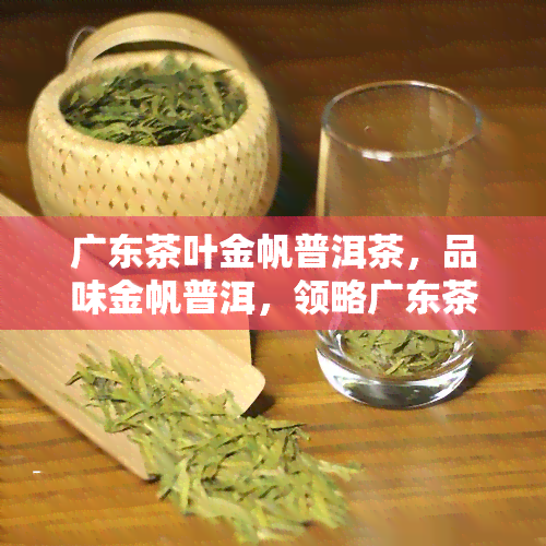 广东茶叶金帆普洱茶，品味金帆普洱，领略广东茶叶的魅力