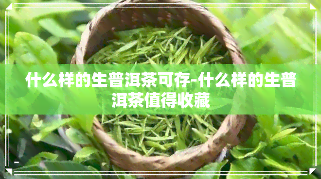 什么样的生普洱茶可存-什么样的生普洱茶值得收藏