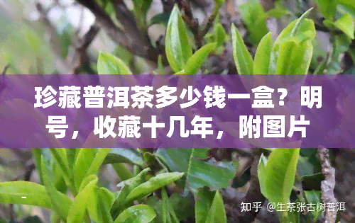 珍藏普洱茶多少钱一盒？明号，收藏十几年，附图片和价格