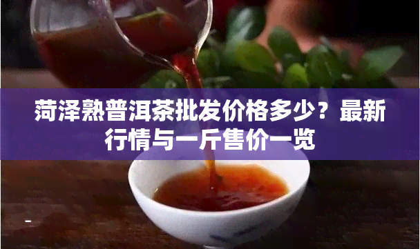 菏泽熟普洱茶批发价格多少？最新行情与一斤售价一览