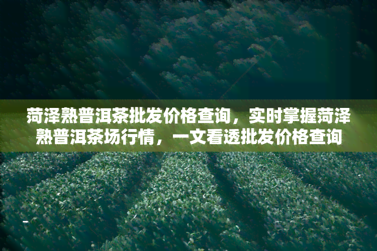 菏泽熟普洱茶批发价格查询，实时掌握菏泽熟普洱茶场行情，一文看透批发价格查询