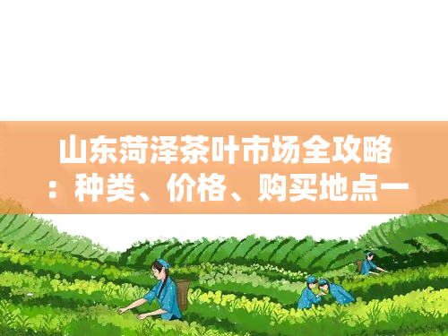 山东菏泽茶叶市场全攻略：种类、价格、购买地点一网打尽！