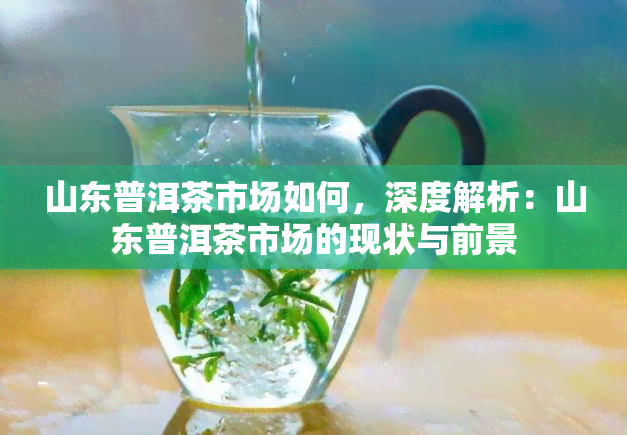 山东普洱茶市场如何，深度解析：山东普洱茶市场的现状与前景