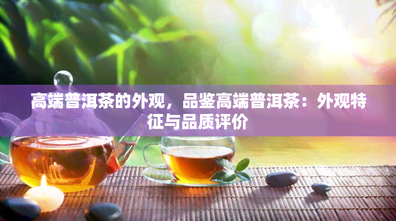 高端普洱茶的外观，品鉴高端普洱茶：外观特征与品质评价